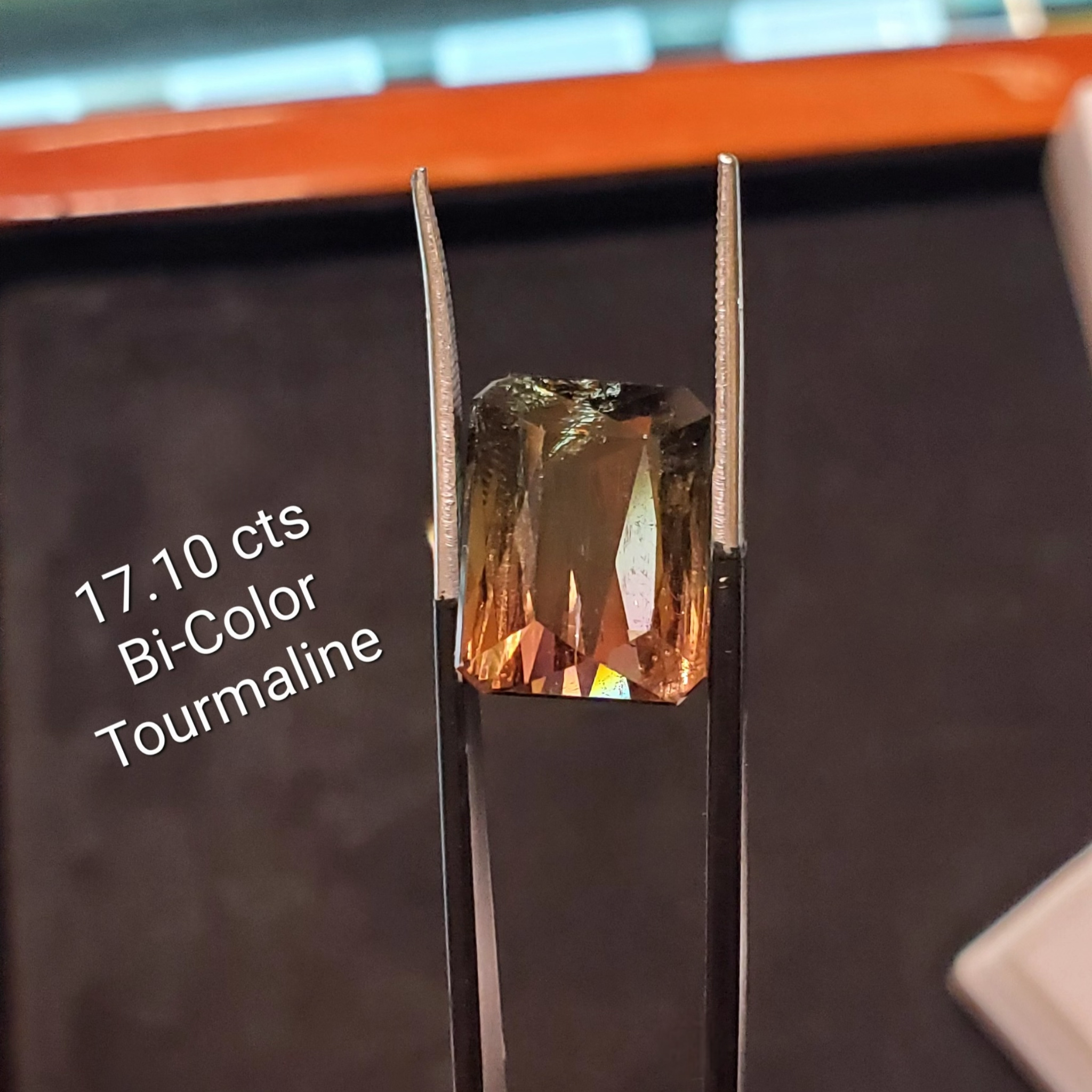 Bi-Color Tourmaline